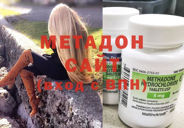 прущие грибы Бронницы